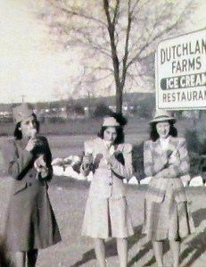 dutchlandfarmsIceCream