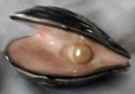 July17Clamshellpearl