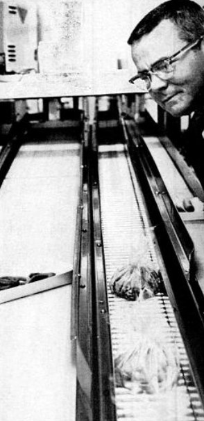 automatedJay'sdrive-in1966belt